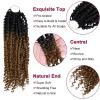imagePassion Twist Hair  8 Packs 14 Inch Passion Twist Crochet Hair For Women Crochet Pretwisted Curly Hair Passion Twists Synthetic Braiding Hair Extensions 14 Inch 8 Packs T27OT27