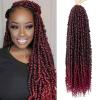 imagePassion Twist Hair  8 Packs 14 Inch Passion Twist Crochet Hair For Women Crochet Pretwisted Curly Hair Passion Twists Synthetic Braiding Hair Extensions 14 Inch 8 Packs T27TBUG