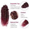imagePassion Twist Hair  8 Packs 14 Inch Passion Twist Crochet Hair For Women Crochet Pretwisted Curly Hair Passion Twists Synthetic Braiding Hair Extensions 14 Inch 8 Packs T27TBUG