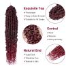 imagePassion Twist Hair  8 Packs 14 Inch Passion Twist Crochet Hair For Women Crochet Pretwisted Curly Hair Passion Twists Synthetic Braiding Hair Extensions 14 Inch 8 Packs T27TBUG