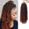 imagePassion Twist Hair  8 Packs 14 Inch Passion Twist Crochet Hair For Women Crochet Pretwisted Curly Hair Passion Twists Synthetic Braiding Hair Extensions 14 Inch 8 Packs T27T350