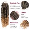 imagePassion Twist Hair  8 Packs 14 Inch Passion Twist Crochet Hair For Women Crochet Pretwisted Curly Hair Passion Twists Synthetic Braiding Hair Extensions 14 Inch 8 Packs T27T27