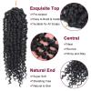 imagePassion Twist Hair  8 Packs 14 Inch Passion Twist Crochet Hair For Women Crochet Pretwisted Curly Hair Passion Twists Synthetic Braiding Hair Extensions 14 Inch 8 Packs T271B