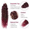imagePassion Twist Hair  8 Packs 14 Inch Passion Twist Crochet Hair For Women Crochet Pretwisted Curly Hair Passion Twists Synthetic Braiding Hair Extensions 14 Inch 8 Packs T27TBUG