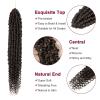 imagePassion Twist Hair  8 Packs 14 Inch Passion Twist Crochet Hair For Women Crochet Pretwisted Curly Hair Passion Twists Synthetic Braiding Hair Extensions 14 Inch 8 Packs T274