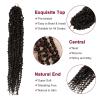 imagePassion Twist Hair  8 Packs 14 Inch Passion Twist Crochet Hair For Women Crochet Pretwisted Curly Hair Passion Twists Synthetic Braiding Hair Extensions 14 Inch 8 Packs T274