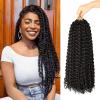 imagePassion Twist Hair  8 Packs 14 Inch Passion Twist Crochet Hair For Women Crochet Pretwisted Curly Hair Passion Twists Synthetic Braiding Hair Extensions 14 Inch 8 Packs T271B