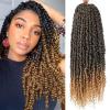 imagePassion Twist Hair  8 Packs 14 Inch Passion Twist Crochet Hair For Women Crochet Pretwisted Curly Hair Passion Twists Synthetic Braiding Hair Extensions 14 Inch 8 Packs T27T27