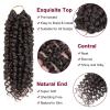 imagePassion Twist Hair  8 Packs 14 Inch Passion Twist Crochet Hair For Women Crochet Pretwisted Curly Hair Passion Twists Synthetic Braiding Hair Extensions 14 Inch 8 Packs T274