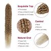 imagePassion Twist Hair  8 Packs 14 Inch Passion Twist Crochet Hair For Women Crochet Pretwisted Curly Hair Passion Twists Synthetic Braiding Hair Extensions 14 Inch 8 Packs T27T27613