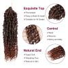 imagePassion Twist Hair  8 Packs 14 Inch Passion Twist Crochet Hair For Women Crochet Pretwisted Curly Hair Passion Twists Synthetic Braiding Hair Extensions 14 Inch 8 Packs T27T350
