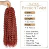 imagePassion Twist Hair  8 Packs 14 Inch Passion Twist Crochet Hair For Women Crochet Pretwisted Curly Hair Passion Twists Synthetic Braiding Hair Extensions 14 Inch 8 Packs T27350