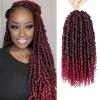 imagePassion Twist Hair  8 Packs 14 Inch Passion Twist Crochet Hair For Women Crochet Pretwisted Curly Hair Passion Twists Synthetic Braiding Hair Extensions 14 Inch 8 Packs T27TBUG