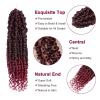 imagePassion Twist Hair  8 Packs 14 Inch Passion Twist Crochet Hair For Women Crochet Pretwisted Curly Hair Passion Twists Synthetic Braiding Hair Extensions 14 Inch 8 Packs T27TBUG