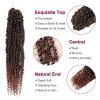 imagePassion Twist Hair  8 Packs 14 Inch Passion Twist Crochet Hair For Women Crochet Pretwisted Curly Hair Passion Twists Synthetic Braiding Hair Extensions 14 Inch 8 Packs T27T350