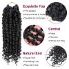 imagePassion Twist Hair  8 Packs 14 Inch Passion Twist Crochet Hair For Women Crochet Pretwisted Curly Hair Passion Twists Synthetic Braiding Hair Extensions 14 Inch 8 Packs T271B