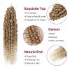 imagePassion Twist Hair  8 Packs 14 Inch Passion Twist Crochet Hair For Women Crochet Pretwisted Curly Hair Passion Twists Synthetic Braiding Hair Extensions 14 Inch 8 Packs T27T27613