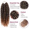imagePassion Twist Hair  8 Packs 14 Inch Passion Twist Crochet Hair For Women Crochet Pretwisted Curly Hair Passion Twists Synthetic Braiding Hair Extensions 14 Inch 8 Packs T27T30