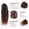 imagePassion Twist Hair  8 Packs 14 Inch Passion Twist Crochet Hair For Women Crochet Pretwisted Curly Hair Passion Twists Synthetic Braiding Hair Extensions 14 Inch 8 Packs T27T350