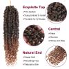 imagePassion Twist Hair  8 Packs 14 Inch Passion Twist Crochet Hair For Women Crochet Pretwisted Curly Hair Passion Twists Synthetic Braiding Hair Extensions 14 Inch 8 Packs T27T30