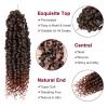 imagePassion Twist Hair  8 Packs 14 Inch Passion Twist Crochet Hair For Women Crochet Pretwisted Curly Hair Passion Twists Synthetic Braiding Hair Extensions 14 Inch 8 Packs T27T350