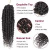 imagePassion Twist Hair  8 Packs 14 Inch Passion Twist Crochet Hair For Women Crochet Pretwisted Curly Hair Passion Twists Synthetic Braiding Hair Extensions 14 Inch 8 Packs T274