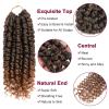 imagePassion Twist Hair  8 Packs 14 Inch Passion Twist Crochet Hair For Women Crochet Pretwisted Curly Hair Passion Twists Synthetic Braiding Hair Extensions 14 Inch 8 Packs T27T30