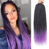 1B/Purple