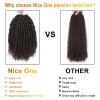 imageNice One PreTwisted Passion Twist Hair 8 Packs 112 Strands Pre Looped Passion Twist Braiding Hair for Women Short Passion Twists Crochet Hair Extensions 20 Inch Pack of 8 1B4