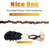 imageNice One PreTwisted Passion Twist Hair 8 Packs 112 Strands Pre Looped Passion Twist Braiding Hair for Women Short Passion Twists Crochet Hair Extensions 20 Inch Pack of 8 1BT1B3027