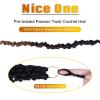 imageNice One PreTwisted Passion Twist Hair 8 Packs 112 Strands Pre Looped Passion Twist Braiding Hair for Women Short Passion Twists Crochet Hair Extensions 20 Inch Pack of 8 1BT1B3330
