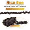 imageNice One PreTwisted Passion Twist Hair 8 Packs 112 Strands Pre Looped Passion Twist Braiding Hair for Women Short Passion Twists Crochet Hair Extensions 20 Inch Pack of 8 1B4