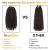 imageNice One PreTwisted Passion Twist Hair 8 Packs 112 Strands Pre Looped Passion Twist Braiding Hair for Women Short Passion Twists Crochet Hair Extensions 20 Inch Pack of 8 1B4