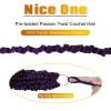 imageNice One PreTwisted Passion Twist Hair 8 Packs 112 Strands Pre Looped Passion Twist Braiding Hair for Women Short Passion Twists Crochet Hair Extensions 20 Inch Pack of 8 1BTPURPLE