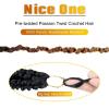 imageNice One PreTwisted Passion Twist Hair 8 Packs 112 Strands Pre Looped Passion Twist Braiding Hair for Women Short Passion Twists Crochet Hair Extensions 20 Inch Pack of 8 1BT1B3027