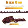 imageNice One PreTwisted Passion Twist Hair 8 Packs 112 Strands Pre Looped Passion Twist Braiding Hair for Women Short Passion Twists Crochet Hair Extensions 20 Inch Pack of 8 1BTBUG