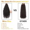 imageNice One PreTwisted Passion Twist Hair 8 Packs 112 Strands Pre Looped Passion Twist Braiding Hair for Women Short Passion Twists Crochet Hair Extensions 20 Inch Pack of 8 1B4