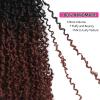 imageNAYOO 14 Inch Yanky Twist Crochet Hair  8 Packs 30 StandsPack Mini Passion Twist with Curly Ends Synthetic PreLooped Crochet Braids Braiding Hair 14 Inch T30T350