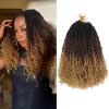 imageNAYOO 14 Inch Yanky Twist Crochet Hair  8 Packs 30 StandsPack Mini Passion Twist with Curly Ends Synthetic PreLooped Crochet Braids Braiding Hair 14 Inch T301B3027