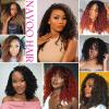 imageNAYOO 14 Inch Yanky Twist Crochet Hair  8 Packs 30 StandsPack Mini Passion Twist with Curly Ends Synthetic PreLooped Crochet Braids Braiding Hair 14 Inch T301B3027