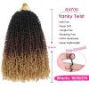 imageNAYOO 14 Inch Yanky Twist Crochet Hair  8 Packs 30 StandsPack Mini Passion Twist with Curly Ends Synthetic PreLooped Crochet Braids Braiding Hair 14 Inch T301B3027