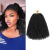 imageNAYOO 14 Inch Yanky Twist Crochet Hair  8 Packs 30 StandsPack Mini Passion Twist with Curly Ends Synthetic PreLooped Crochet Braids Braiding Hair 14 Inch T301B