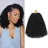 imageNAYOO 14 Inch Yanky Twist Crochet Hair  8 Packs 30 StandsPack Mini Passion Twist with Curly Ends Synthetic PreLooped Crochet Braids Braiding Hair 14 Inch T301B