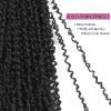 imageNAYOO 14 Inch Yanky Twist Crochet Hair  8 Packs 30 StandsPack Mini Passion Twist with Curly Ends Synthetic PreLooped Crochet Braids Braiding Hair 14 Inch T301B