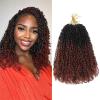 imageNAYOO 14 Inch Yanky Twist Crochet Hair  8 Packs 30 StandsPack Mini Passion Twist with Curly Ends Synthetic PreLooped Crochet Braids Braiding Hair 14 Inch T30T350