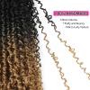 imageNAYOO 14 Inch Yanky Twist Crochet Hair  8 Packs 30 StandsPack Mini Passion Twist with Curly Ends Synthetic PreLooped Crochet Braids Braiding Hair 14 Inch T30T27