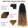 imageNAYOO 14 Inch Yanky Twist Crochet Hair  8 Packs 30 StandsPack Mini Passion Twist with Curly Ends Synthetic PreLooped Crochet Braids Braiding Hair 14 Inch T30T27