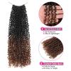 imageNAYOO 14 Inch Yanky Twist Crochet Hair  8 Packs 30 StandsPack Mini Passion Twist with Curly Ends Synthetic PreLooped Crochet Braids Braiding Hair 14 Inch T30T30