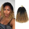 imageNAYOO 14 Inch Yanky Twist Crochet Hair  8 Packs 30 StandsPack Mini Passion Twist with Curly Ends Synthetic PreLooped Crochet Braids Braiding Hair 14 Inch T30T27