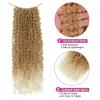 imageNAYOO 14 Inch Yanky Twist Crochet Hair  8 Packs 30 StandsPack Mini Passion Twist with Curly Ends Synthetic PreLooped Crochet Braids Braiding Hair 14 Inch T30T27613